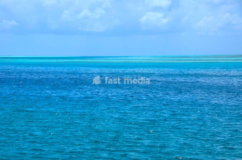 Pemba Island, north of Zanzibar archipelago, in Tanzania, surrounded by Indian Ocean. Pemba is also known as Al Kuh Dra, green island, thanks to her luscious vegetation. Pemba, November 17th, 2018