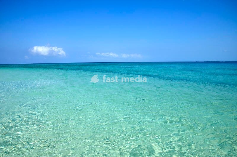 Pemba Island, north of Zanzibar archipelago, in Tanzania, surrounded by Indian Ocean. Pemba is also known as Al Kuh Dra, green island, thanks to her luscious vegetation. Pemba, November 17th, 2018