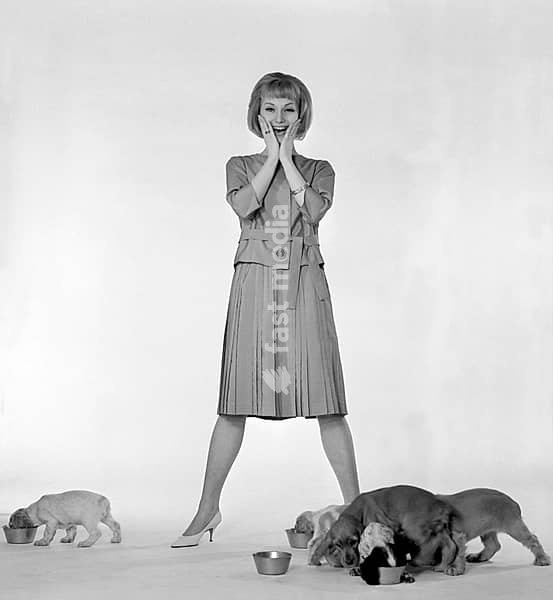 In the 1960s. One fashion models, in typical 1960s outfit photographed in a studio. The girl poses together with puppies. Sweden 1960s