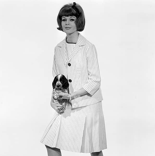 In the 1960s. One fashion models, in typical 1960s outfit photographed in a studio. The girl poses together with a puppy. Sweden 1960s