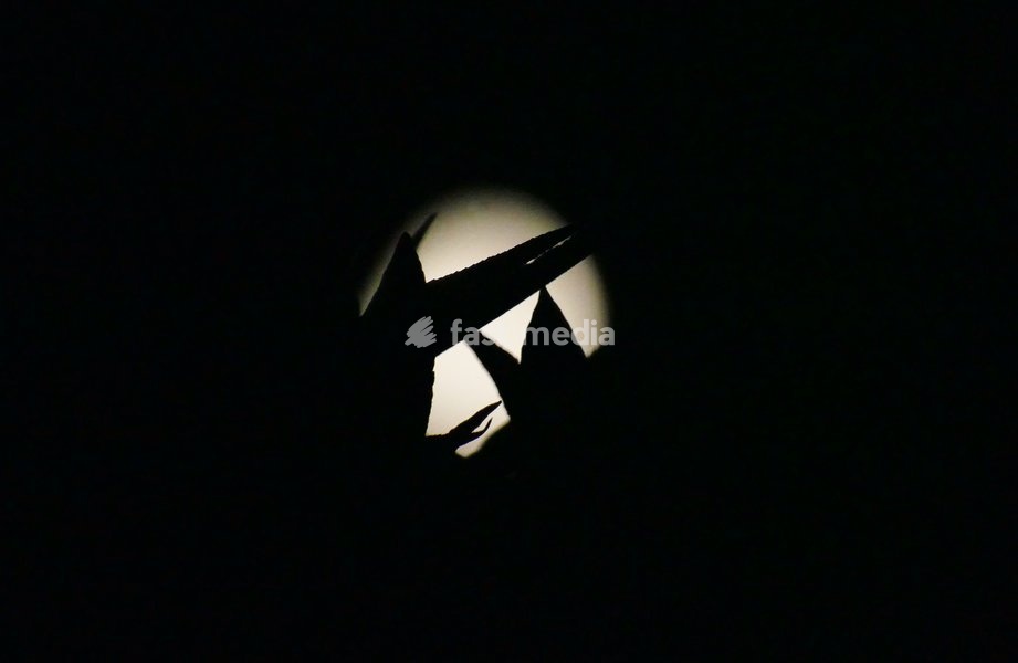 The waxing gibbous moon visible at 59.8% in the early mornings sky. This intermediate Moon phase starts after the First Quarter Moon and lasts until the Full Moon