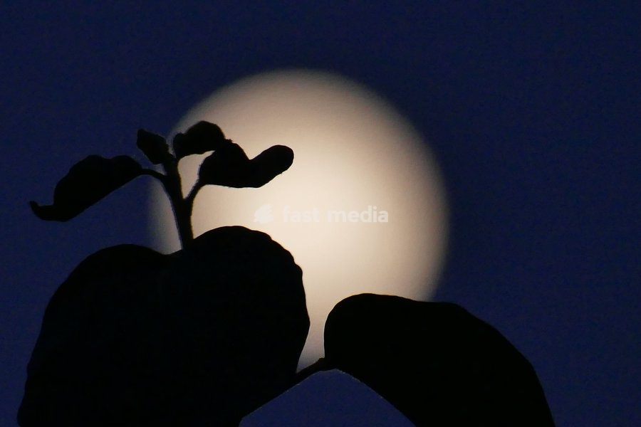 The waxing gibbous moon visible in the dusk sky at 92.8%. This intermediate Moon phase starts after the First Quarter Moon and lasts until the Full Moon
